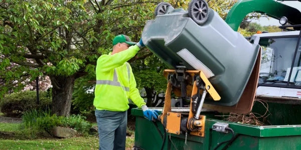 Junk Removal